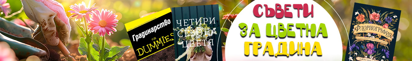 ������ �� ������ �������