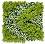     My Garden Reflection CCGA232 - 50 x 50 cm - 