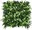     My Garden Gentle Jungle CCGA040 - 50 x 50 cm - 
