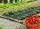      Nortene Fresafilm - 1.4 x 10 m - 