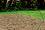     Nortene Arc PVC - 