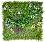     My Garden Blossom Carnival CCGF045 - 100 x 100 cm - 
