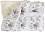   Cangaroo Shaggy - 75 x 105 cm - 