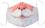   Delfina -   -      - 