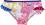   Cerda Shimmer & Shine -      - 