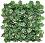    My Garden Maple CCGA050 - 