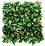     My Garden Photinia CCGA008 - 50 x 50 cm - 