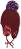    Sterntaler -  6-9  - 