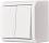    Anura -    - 