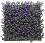     My Garden Buxus CCGA011 - 50 x 50 cm - 