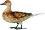   Nortene -  - 