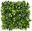     My Garden Daffodil Dream CCGF007F - 50 x 50 cm - 