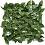    My Garden Laurel CCGA054 - 