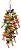    Nobby - 11 x 32 cm - 