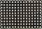     Olivo Rubust - 60 x 40  100 x 50 cm - 