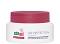 Sebamed Anti-Ageing Q10 Protection Cream - ������� ���� �� ���� � Q10 �� ������� Anti-Ageing - ����