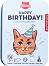 �������� �� ����� �� ������ ��� Kiko Cat Happy Birthday Kit - � ������ � �������, ����� �� ������, �����, ������ � ����� - �������