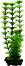 ���������� �������� �� �������� Tetra Ambulia - 15 � 30 cm - �������