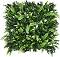     My Garden Gentle Jungle CCGA040 - 50 x 50 cm - 