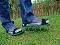    Nortene - 