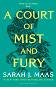 A Court of Thorns and Roses - book 2: A Court of Mist and Fury - Sara J. Maas - �����
