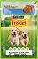    Friskies Junior - 100  4 x 85 g,       ,     6   1  - 