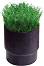    Rain Bird Sod Cup -     8005 - 