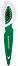        Salamander - 