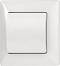   1   Anura -    - 