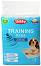     Nobby Training Pads M - 6 , 62 x 48 cm - 