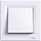        Schneider Electric -      Asfora - 