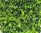     Betafence -    - 4  50 x 50 cm - 