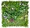     My Garden Blossom Carnival CCGF045 - 100 x 100 cm - 
