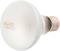 ������ ������ �� �������� REPTI PLANET Daylight Frosted - 25 ÷ 100 W - �������