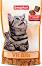    Beaphar Vit Bits - 35 g,     - 