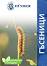       Huniger - 55 g - 