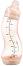    Difrax - 250 ml,   Natural, 0+  - 