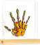      Tiny Love Family Prints -   Tiny Creations - 