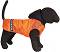    HAPPY PUPPY - XXS ÷ XL - 