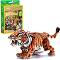 �������� ����� - 3D ����� �� 87 ����� �� ���������� National Geographic Kids - �����