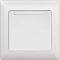   Anura -    - 