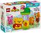 LEGO Duplo -        -   - 