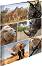    HERMA -   -   A4   Animals - 