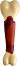    GimDog Sensory Bone -     - 
