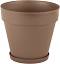     My Garden Merlow - 