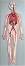 ����� �� ���������� ������� Gelsonlab - 30 / 80 / 6 cm - 