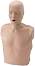     Prestan -  - 36 / 59 / 18 cm,    - 
