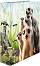   2  HERMA -  -   A4      7 cm   Animals - 