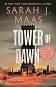 Throne of Glass - book 6: Tower of Dawn - Sarah J. Maas - �����