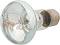 ������ ������ �� �������� REPTI PLANET Daylight Basking - 25 ÷ 150 W - �������